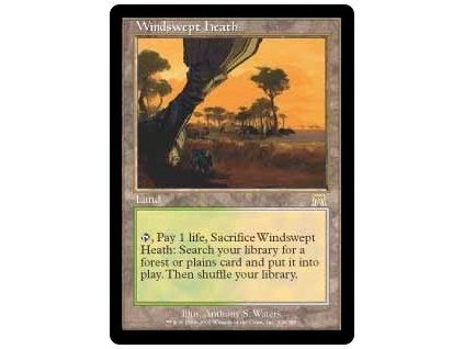 Windswept Heath