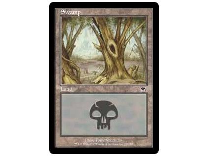 Swamp