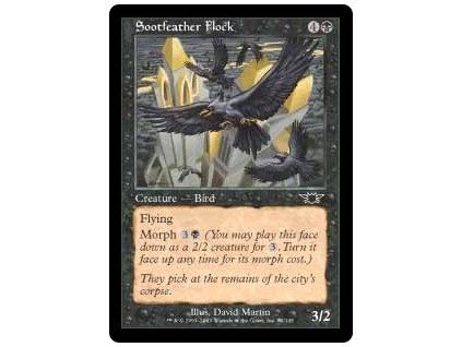 Sootfeather Flock