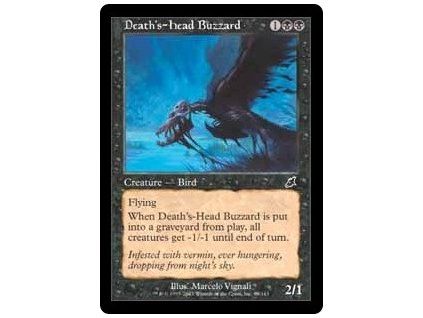 Death's-Head Buzzard