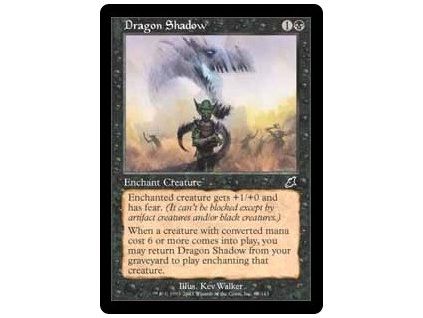 Dragon Shadow