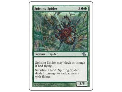 Spitting Spider