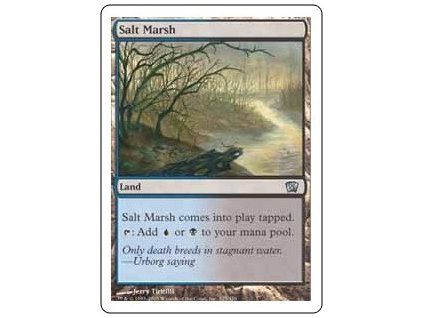 Salt Marsh