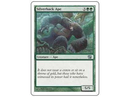 Silverback Ape