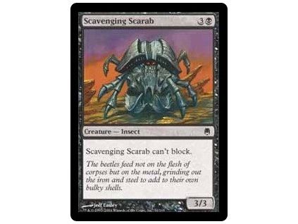 Scavenging Scarab