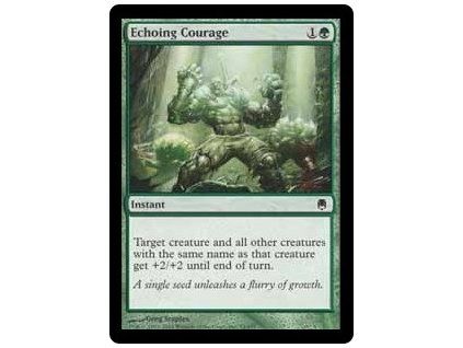 Echoing Courage