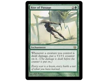 Rite of Passage (Foil NE, Stav Light Played)