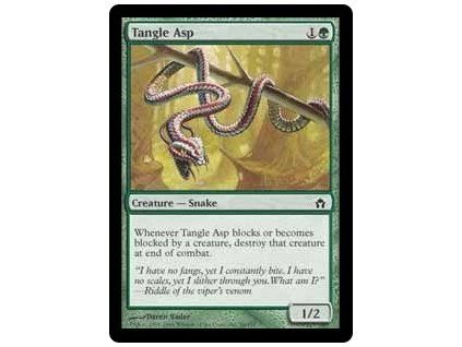 Tangle Asp
