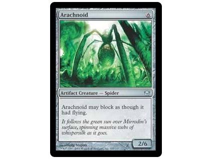 Arachnoid