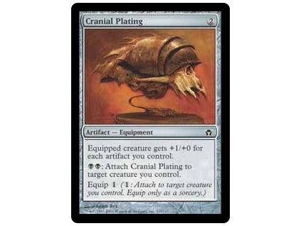 Cranial Plating