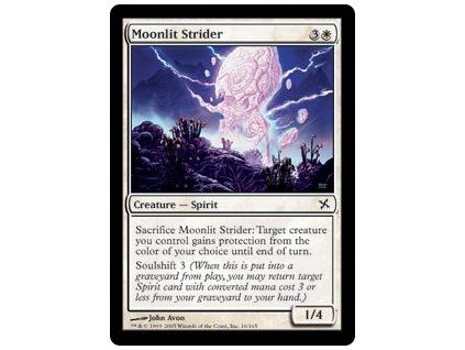 Moonlit Strider