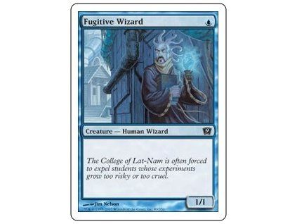 Fugitive Wizard