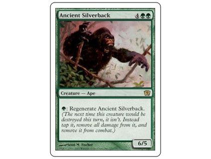 Ancient Silverback