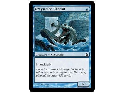 Grayscaled Gharial