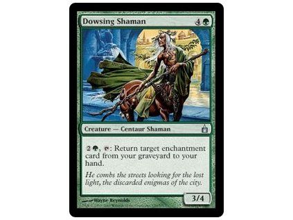 Dowsing Shaman
