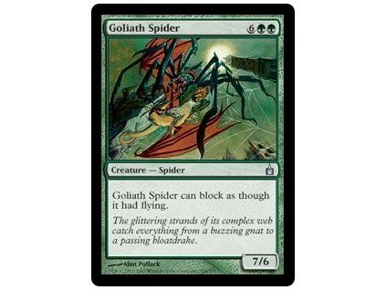 Goliath Spider