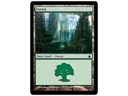 Forest
