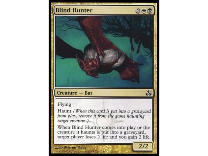 Blind Hunter (Foil NE, Stav Near Mint)