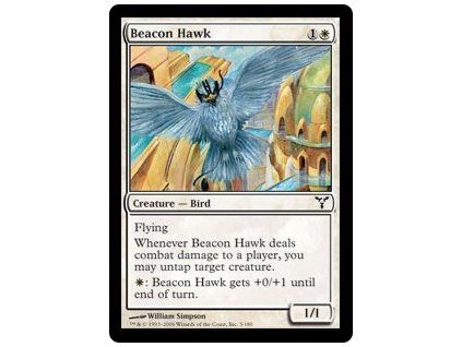 Beacon Hawk