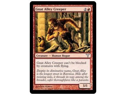 Gnat Alley Creeper