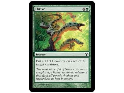 Thrive (Foil NE, Stav Near Mint)