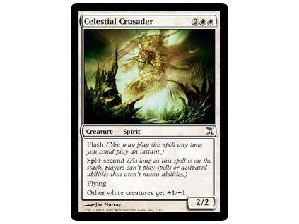 Celestial Crusader