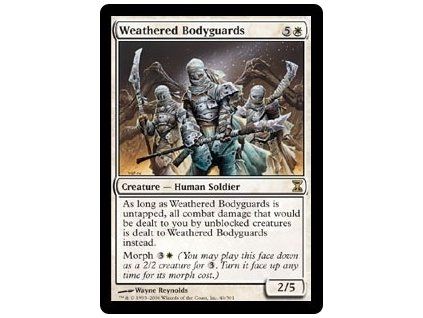 Weathered Bodyguards