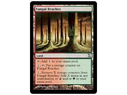 Fungal Reaches