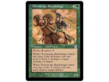 Thornscape Battlemage