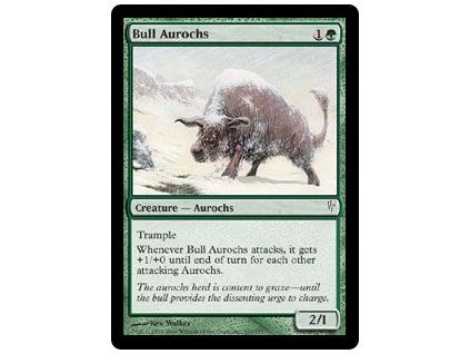 Bull Aurochs