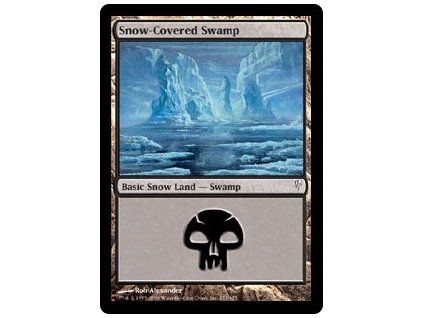 Snow-Covered Swamp