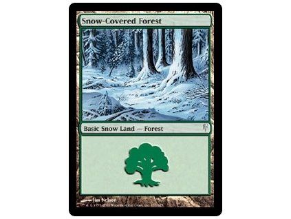 Snow-Covered Forest