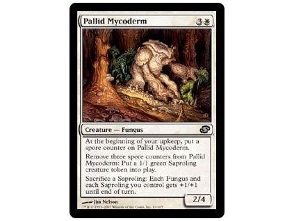 Pallid Mycoderm