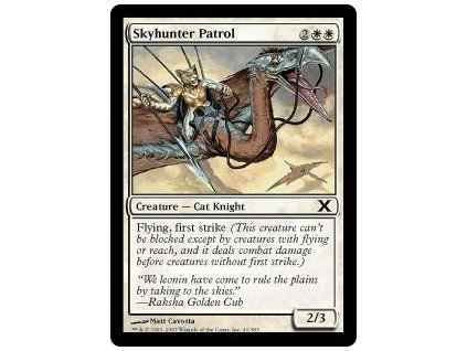 Skyhunter Patrol