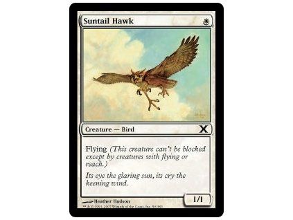 Suntail Hawk