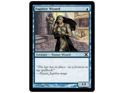 Fugitive Wizard