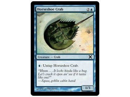 Horseshoe Crab