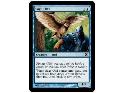 Sage Owl