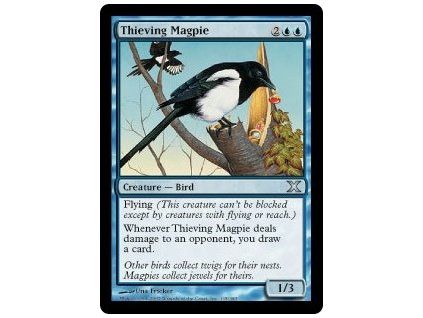 Thieving Magpie