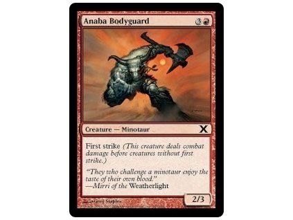 Anaba Bodyguard