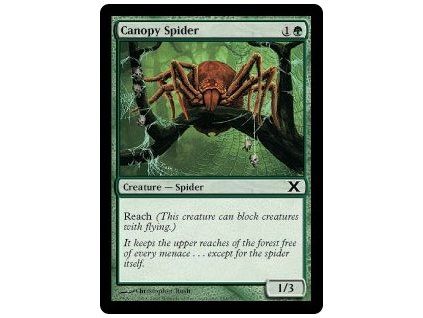 Canopy Spider