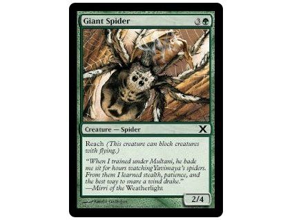 Giant Spider