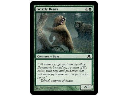 Grizzly Bears