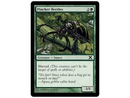 Pincher Beetles