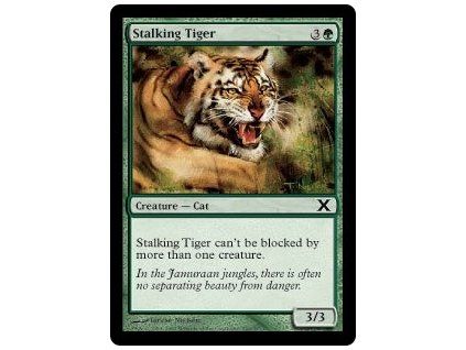 Stalking Tiger