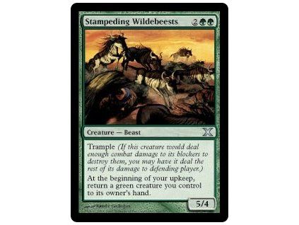 Stampeding Wildebeests