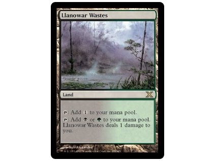 Llanowar Wastes (Foil NE, Stav Light Played)