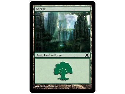Forest