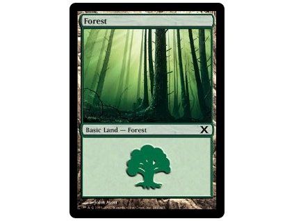 Forest