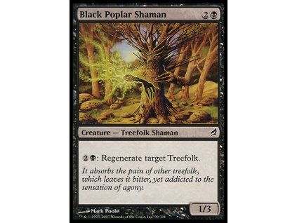 Black Poplar Shaman